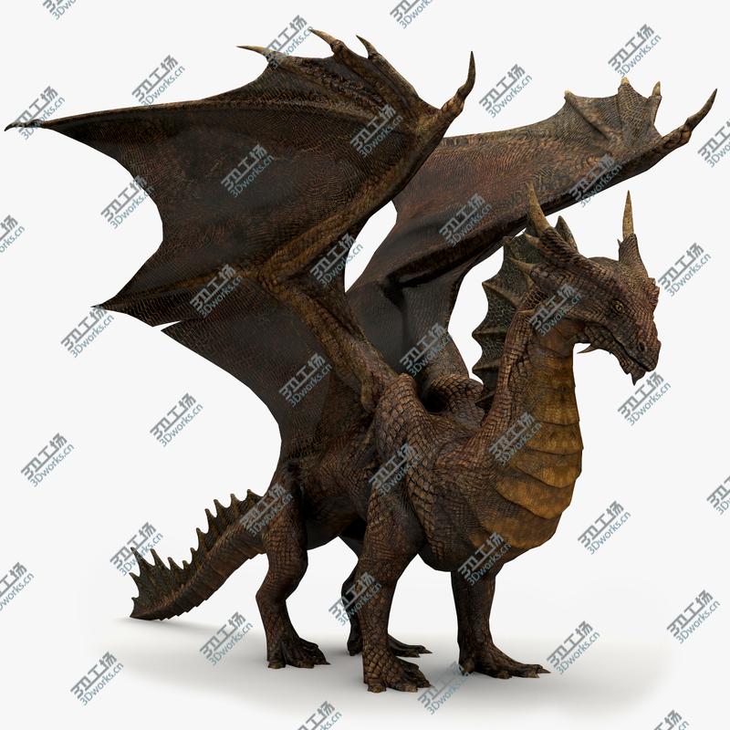images/goods_img/202105073/Copper Dragon/5.jpg